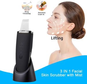Инструмент 24K Electric Ultrasonic Cleaner Gace Scrubber Peeling Shovel Pore Pore Pore Remover Clean Lifting Beauty Device Care