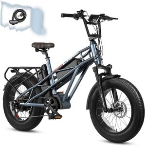 Elektrikli bisiklet zirvesi 1200W 48V/30AH Çift Pil 4.0 Yağ Lastik 31mph Yetişkin Ebike