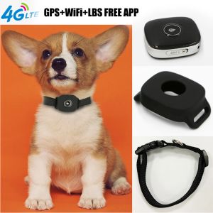 Aksesuarlar 4G PET GPS İzleyici Köpek Kedi GPS İzleme Yakası Su Geçirmez Mini GPS İzleyici Antilost Alarm Bulucu Akıllı İzleme Cihazı