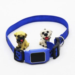 Aksesuarlar D35 PETS GPS Tracker Pet GPS GSM Tracker Köpek Kedi Gerçek Zamanlı İzleme Yaka Güvenlik Bulucu Bulucu IOS için Android için