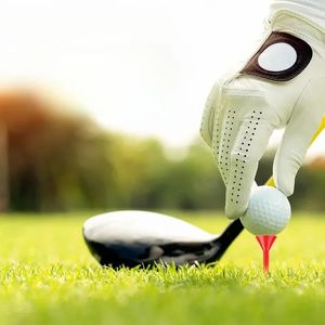 2024 50 PCS golf tees fincan şeklindeki plastik dayanıklı karışık renk mevcut yardımcı uygulama golf aksesuarları, dayanıklı plastik tees için