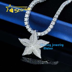 Fine Jewelry Sterling Gümüş 925 Buzlu VVS Moissanite Kolye Hip Hop Takı Özel Yıldız KolyeDesigner Takı