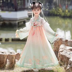Одежда наборы апельсинового китайского традиционное платье Hanfu Animal Emelcodery Улучшенная сказочная вечерняя юбка роскошная косплей костюм 2024 Китай