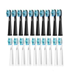 10 PCS Brush de reposição Cabeça Soft Dupont Recarias de cerdas para Fairywillseago de dentes elétrica FWSG 507508515551917959 240418