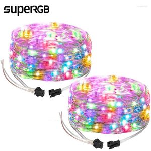 Dizeler 5m 50 Işık Noel Işıkları LED String dc5v rgbic ws2812b oda dekorasyonu rgb şeridi (adaptör veya denetleyici yok)