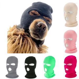 Köpek Giyim 2024 Açık Seyahat Rüzgar Tabanlı Maske Kapak Kostümleri Büyük Köpekler Kayak Şapkaları Pet Kask Aksesuarları