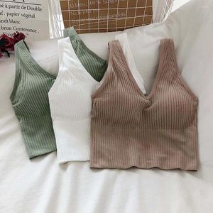 Camisoles tanques roupa interior sem fio v-tie coreano com almofada no peito de malha push up sutiã esportes