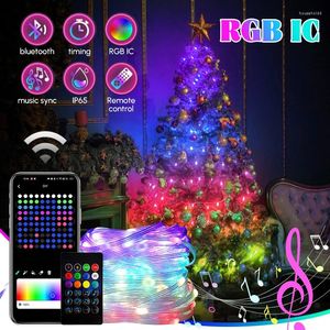 Strings 2024 RGB IC Christmas Fairy Light Smart APP One-to-One Control String Bluetooth Waterproof USB LED Xmas Tree Garland