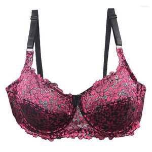 Bras 2024 Sexy For Women Lace Hollow Embroidery Push Up Underwear Female Thin Mold CDE Cup Lingerie