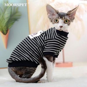 Kedi kostümleri kıyafetler bahar küçük köpek giyim sevimli kukla kedi