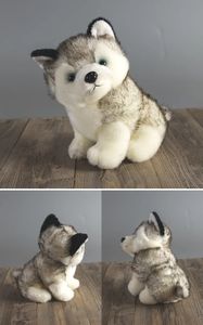Toptan Peluş Simülasyon Husky Doll Doldurulmuş Hayvanlar Peluş Oyuncak Küçük Köpek Er Ha Bebek Moda Köpek Noel Hediye Huggy Wuggy Özel Oyuncak Peluş Hayvanlar Oyuncak Çocuk İçin