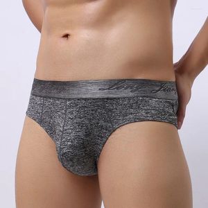 UNDUPTS erkekler iç çamaşırı seksi waist u dışbükey torba brifing marka slip cueca erkek külot eşcinsel erkek külot