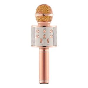 Колонки WS858 Профессиональный беспроводной микрофон Динамик Караоке Конденсаторный микрофон Bluetooth Микрофон Радио Студийный микрофон для записи WS858 Музыка