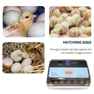 Аксессуары Новое поступление инкубатор для яиц домашней птицы автоматический 15 куриных яиц инкубационная машина дропшиппинг горячие продажи 2021 оптовая продажа