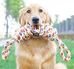 Toys Pet Dog Toy Ball Bititeresistant Molar Köpek Isırık Top Düğümü Büyük Köpek Tugofwar Etkileşimli Eğitim Pamuk Halat Evcil Malzemeleri