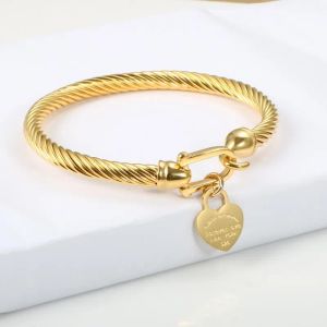 Titan Stahl Armreif Kabel Draht Gold Liebe Herz Charm Armreif mit Hakenverschluss für Frauen Männer Hochzeit Schmuck Geschenke G2309045PE-3