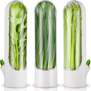 Other Home Storage Organization LMETJMA Herb Saver Keeper Vegetable Fresh Cilantro Containers for Refrigerator Keeping Bottle Preserver JT156 230906