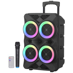 Портативная лампа Sers 800 Вт, 4 6 дюймов, наружное аудио, караоке, Partybox, RGB, Bluetooth Ser, красочная светодиодная лампа с микрофоном, пульт дистанционного управления, сабвуфер, FM 230908