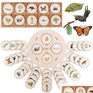 Ciência descoberta disery ciclo de vida placa montessori kit biologia educação brinquedos para crianças bandeja sensorial figura animal classificação madeira dhek5