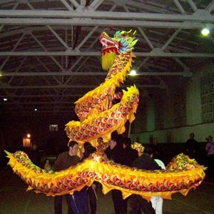 18m10 Yetişkin 9 Ortak Yetişkin Maskot Kostümü İpek Çin Geleneksel Kültür Ejderha Dans Halk Festivali Kutlama Sahnesi Props2787