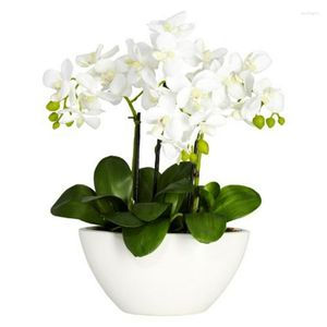 Vazolar. Beyaz Vazoda Phalaenopsis Orkide Yapay Düzenlemesi