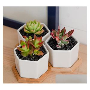 Çiziciler Seramik Bonsai Toptan Mini Beyaz Porselen Flowerpots Tedarikçiler Sar -Kapalı Ev Kreş SN2254 DR DHYSG