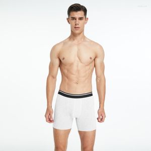 Underpants Men Boxer Underwear Underware Shorts Mens Cotton Breathable Boxers For Brand Quality Sexy Pouch Panties