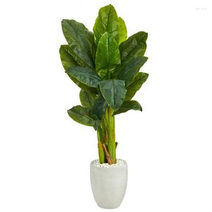 Decorative Flowers Triple Stalk Artificial Banana Tree In White Planter (Real )