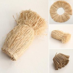 Dekorative Blumen Lafite Gras Quaste Trim Wand Dekor Nordic Einfache Wohnzimmer Trockene Reihe DIY Hand Woven Handwerk Hochzeit Ornament