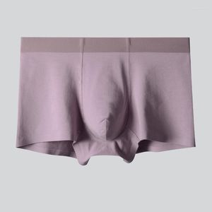 Underpants Оптовые пользовательские высококачественные дышащие дышащие хлопковые мужчина короткое короткое белье в нижнем белье