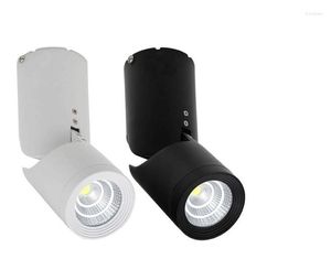 Duvar lambası 5pcs/lot 10W LED COB Işık Yüzey Monte Spot Işığı Saf/Sıcak Beyaz
