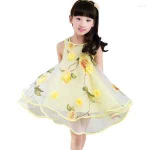 Vestidos de menina o vestido de verão fã da princesa bingbing com flores silvestres