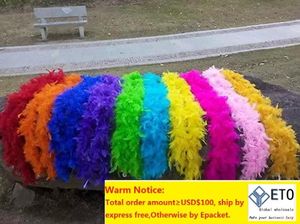Wholesale 2M long natural Turkey feathers Feather boa Decorative diy multicolor Festival and party supplies celebration party supplies