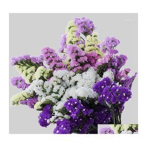 Ghirlande Di Fiori Decorativi 60 Cm Erba Di Cristallo Naturale Fresco Essiccato Conservato Non Ti Dimentico Di Me Vero Ramo Amante Per La Decorazione Della Tavola Di Casa Dh5Eu