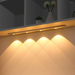 Gece Işıkları Kapalı Aydınlatma Şarj edilebilir USB LED Işık Mutfak Dolabı Yatak Odası Dolap Hareket Sensörü Kablosuz Ultra İnce Soğuk
