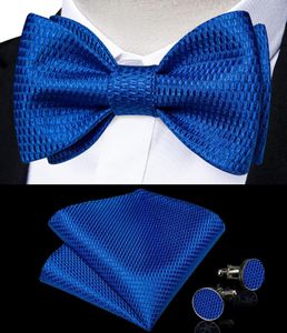 Bow Ties Kraliyet Mavi Erkekler Bowtie Cep Meydanı Kelepçeleri İnsan Aksesuarları İçin Set Düğün Günlük Giyim İpek Katı Kelebek Düğüm Kravat Hediyeleri