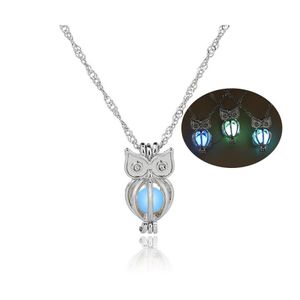 Lockets Karanlıkta Glow Baykuş Kolye Hollow İnci Kafesleri Kolye Aydınlık Hayvan Charm Kolye Kadınlar Bayanlar Için Lüks Moda Yahudi Otttb