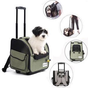 Köpek araba koltuğu kapaklar açık evcil kedi arabası haddeleme bagaj bagaj bagaj arabası hayvan seyahat evi bavul tekerlek taşıyıcısı
