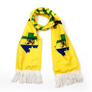 Профессиональные подарки Кубка мира поддерживают шарфы модные печать поддержки команды команды двойные шарфы