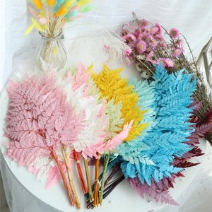 Dekoratif Çiçekler 10 PCS Ebedi Şube Doğal Olarak Yapılmış Alp Fern Yaprak Düğün Partisi Ev Dekor Aksesuarları DIY Malzeme Dekorasyon