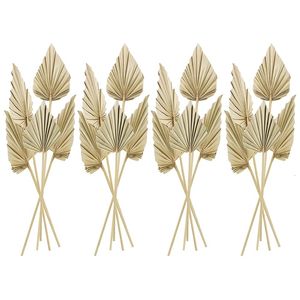 Decorative Flowers Wreaths 20Pcs Boho Dried Palm Spears Leaves Small Dried Real Palm Fans Dried Palm Leaves With Stem Dried Leaf Decor Vase 230808