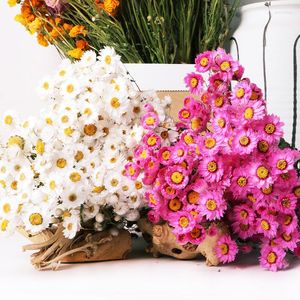 Dekoratif Çiçekler Doğal Gerçek Buket Rudan Kuşları Küçük Helichrysum Daisy Düzenleme Vazo Odası Ev Sanat Dekorasyon Mariage Sevgililer Günü