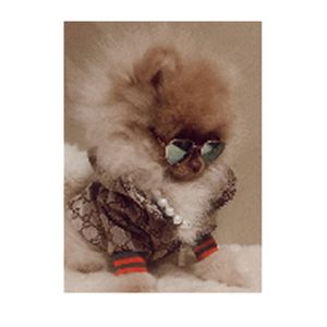Designer Roupas de cachorro Cavaco de cachorro moda casaco de estimação Autumn/Winter Dog Capuz