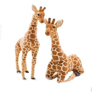 Doldurulmuş Peluş Hayvanlar 50-120cm MTI Boyutu Yüksek Kaliteli Gerçekçi Afrika Çayılları Vahşi Hayvan Yumuşak Zürafa Oyuncakları Çocuk Hediyeleri D DHBZ6