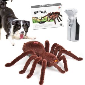 Köpek oyuncakları cadılar bayramı köpek oyuncak akıllı simüle örümcek büyük orta orta küçük köpekler interaktif köpek hediye oyuncak 230812 için uzaktan kumanda oyuncakları
