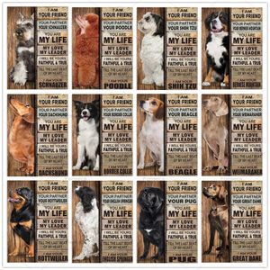 Retro köpek Pet Meatl işareti Border Collie Beagle Golden Retriever komik resim çubuğu Pet Doghome Aksesuarlar Posterler Bahçe Dekorasyonu Özel Teneke Plaka 30x20cm W01