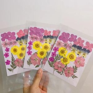 Dekoratif çiçekler 22pcs/set preslenmiş kurutulmuş çiçek yaprağı bitkisi mücevher için herbaryum yer imi kartpostal telefon davası davet