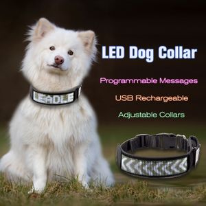 Собачьи воротники поводки Untsmart Светодиодный воротник Программируемый Bluetooth Scrolling Light Lluminated разноцветный персонализированная текстовая графика белая 230816