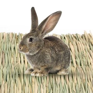 Other Pet Supplies Rabbits Bunny Grass Mat Small Animal Woven Hay Mat Natural Straw Bedding Resting Cage Mat For Guinea Pig Chinchilla Hamster Rat HKD230821