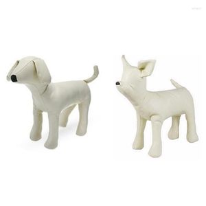 Kedi kostümleri 2 adet deri köpek mankenleri ayakta pozisyon modelleri oyuncaklar evcil hayvan dükkanı ekran manken beyaz s m